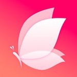 蝶恋直播全集免费观看下载