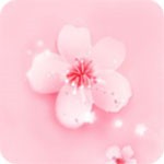 夸克视频海外版安装包下载大全