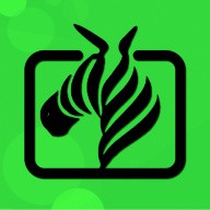 榴莲视频在线下载