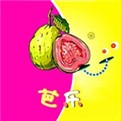 小草视频