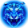 100%胸片曝光率软件app下载安装