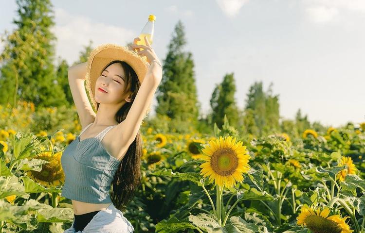 高质量教育资源