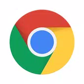 google浏览器手机版-google浏览器安卓手机版v116.0.5845.114（暂未上线）